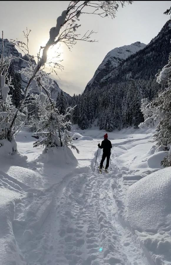 Casanova Nelle Dolomiti Santo Stefano Di Cadore