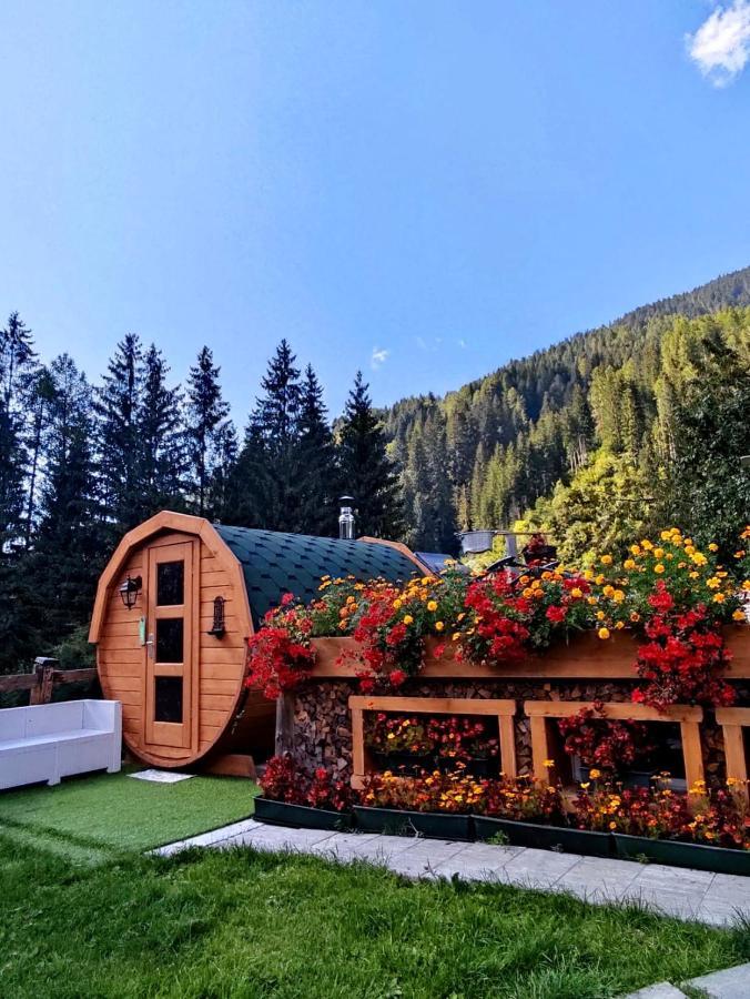 Apartment Casanova Nelle Dolomiti