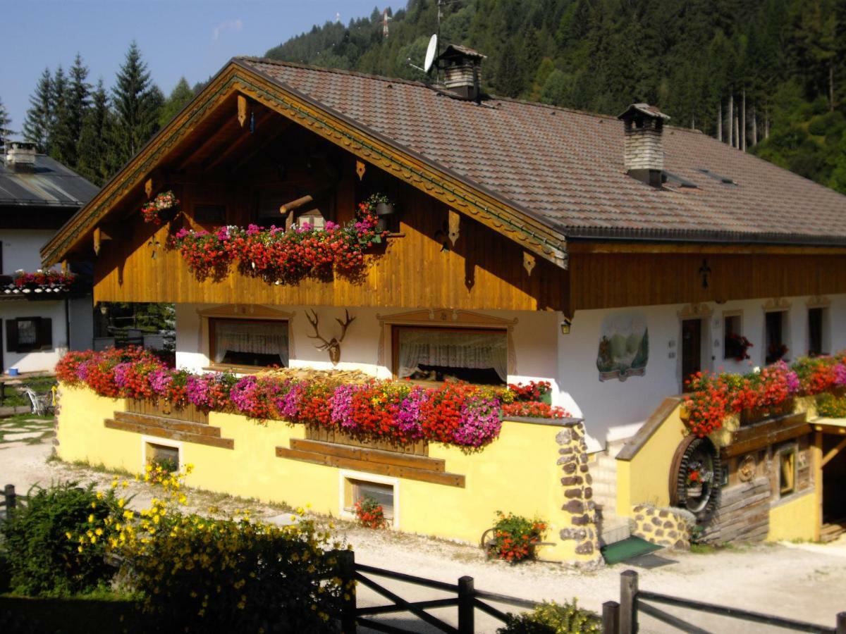 Casanova Nelle Dolomiti Apartment